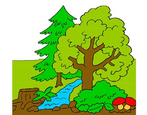 Bosque De Coniferas Dibujo Dibujo De Bosque De Invierno Para Colorear
