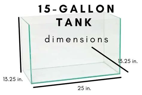 40 Gallon Tank Dimensions Bruin Blog
