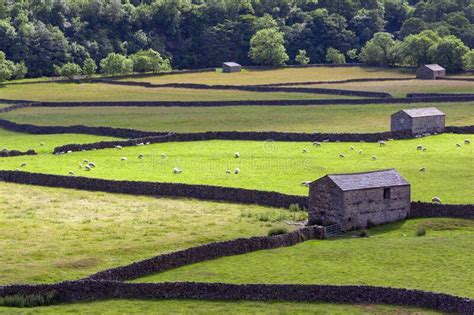 Yorkshire Dales England Stock Photo Image Of Meadow 228961758