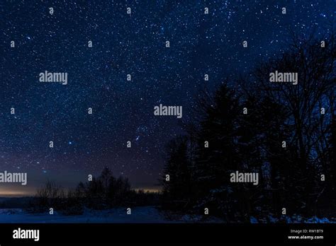 Starry Dark Sky And Trees In Carpathian Mountains At Night In Winter