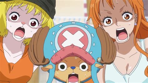 Nami Chopper And Carrot One Piece Anime Episode 785