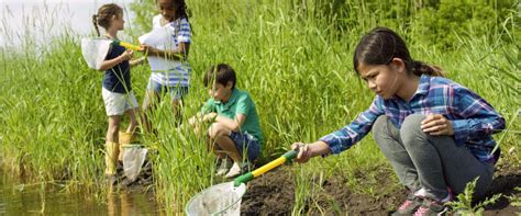 Outdoor And Nature Summer Day Camps In Toronto Help Weve Got Kids