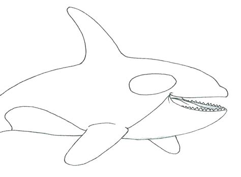 Vector of a cartoon orca playing with a soccer ball coloring. Orca Whale Coloring Page at GetDrawings | Free download