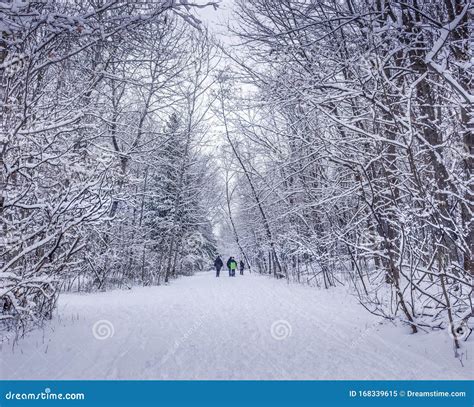 Walking Into The Winter Wonderland At The Ravine Ottawa Canada Stock