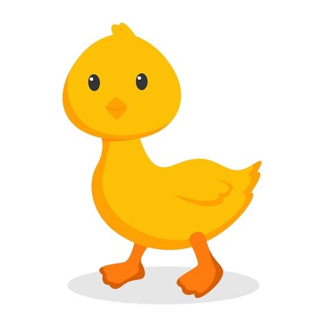 Premium Vector Cute Duck Character Design Illustration