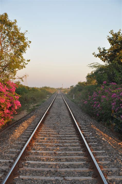 Railway Track Railroad Tracks Railway Photography Photograph