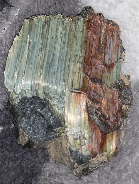 Petrified Wood Found In Northern California At Around 7000 Feet Up R
