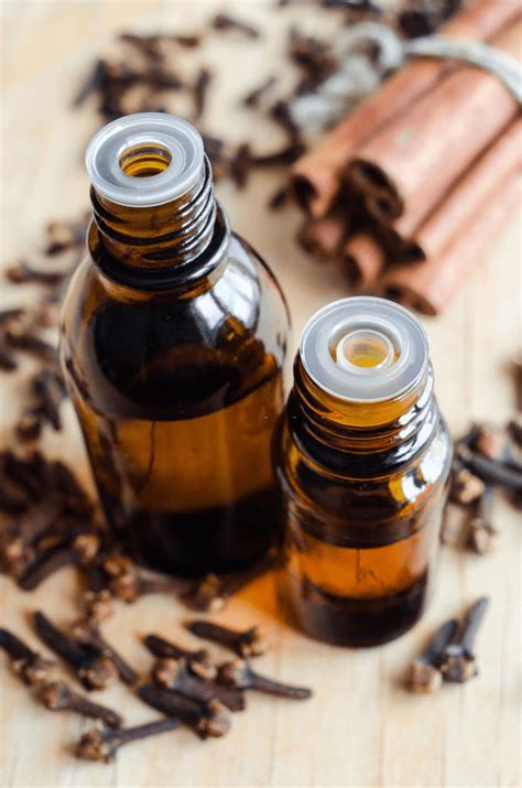 We feel that we have a responsibility to provide. Which Oils Do Cinnamon Essential Oil Blend Well With ...