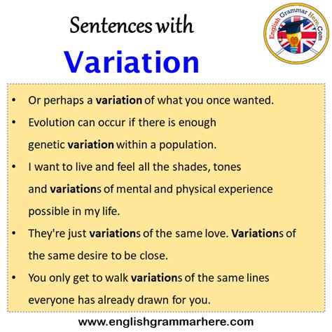 Sentences With Variation Variation In A Sentence In English Sentences