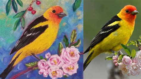 Western Tanager Acrylic Painting Tutorial Songbird Mini Canvas Series