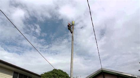 1 foot is equal to 0.3048 meters 80 ft. How a professional arborist cuts down a 80 foot/20 meter ...