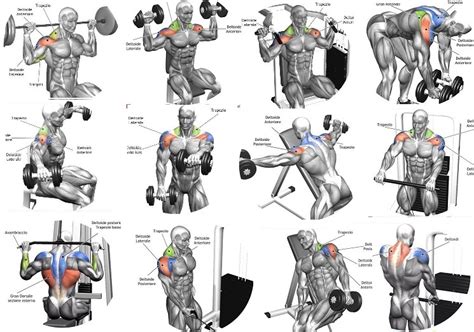 Exercises Tips For A Complete Shoulder Workout Fitness Workouts