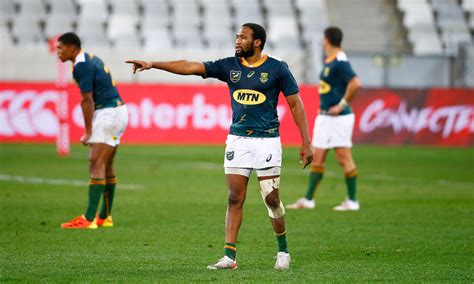 Springboks Vs British And Irish Lions 1st Test Preview Hollywoodbets