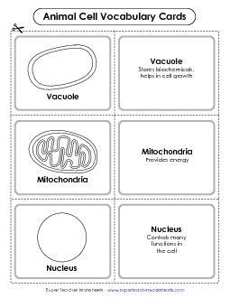 Check spelling or type a new query. Animal and Plant Cell Worksheets | Sixth grade science ...