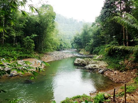 gambar lingkungan alam yang indah - Pemandanganoce