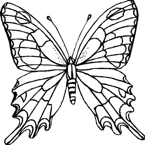 A simple coloring page with the same insect. Butterfly Coloring Printables for Kids