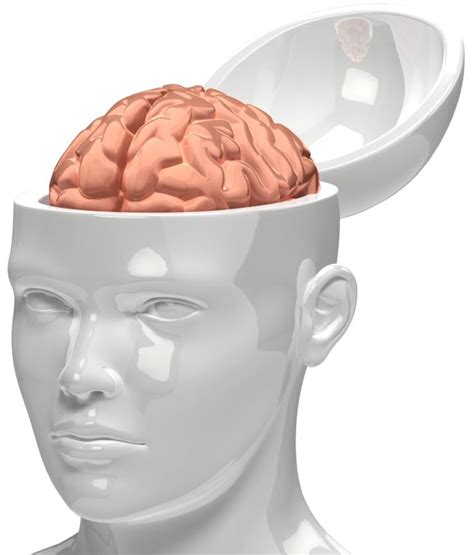 Brain Inside Head Great Powerpoint Clipart For Presentations