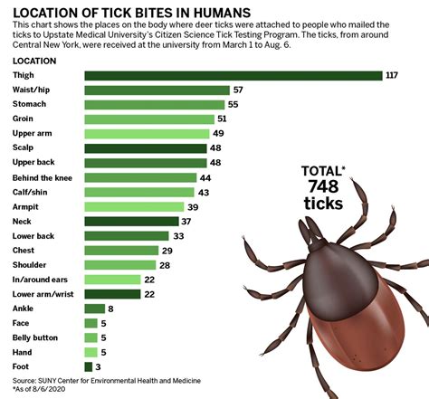 Where On Your Body Are You Most Likely To Find A Tick Upstate Study Has The Answer
