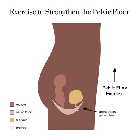 How To Relax Tight Pelvic Floor Muscles Aeroflow Urology