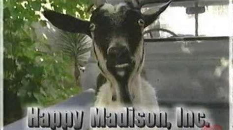 17 applegate court jefferson county 53713. Happy Madison Productions | Scary Logos Wiki | Fandom
