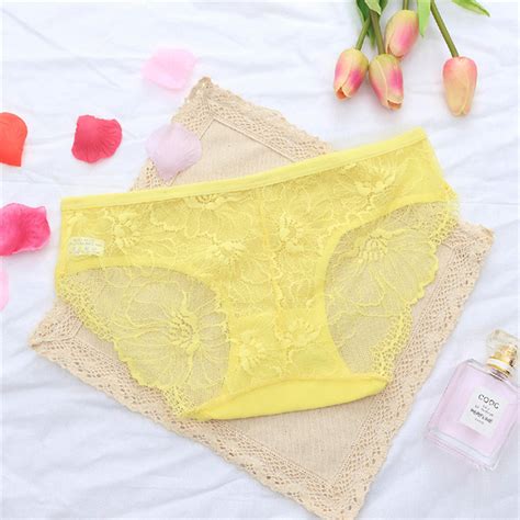2 Pcs Womens Lace Sheer Panties Sexy Lingerie Underwear Perspective