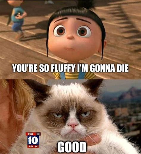 Pin On Life Is Good Not Tard The Grumpy Cat