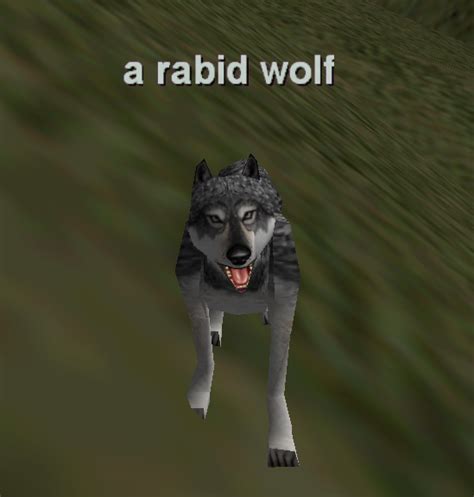 A Rabid Wolf Project 1999 Wiki