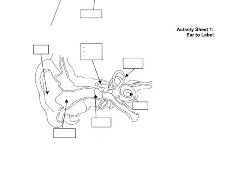 Ear Worksheet For Grade 3