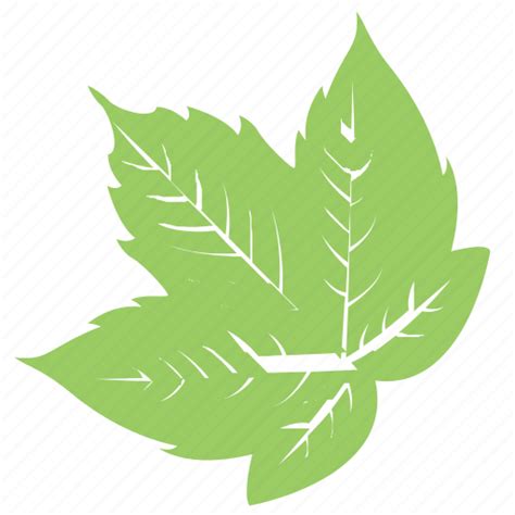 Grapes leaf, green leaf, leaf design, leaf shape, vine leaf icon