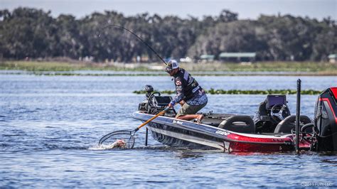 Toho And Kissimmee Should Show Out For Southern Division Anglers