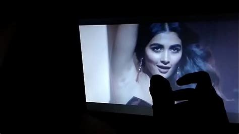 Pooja Hegde Cum Tribute Xxx Mobile Porno Videos And Movies Iporntv
