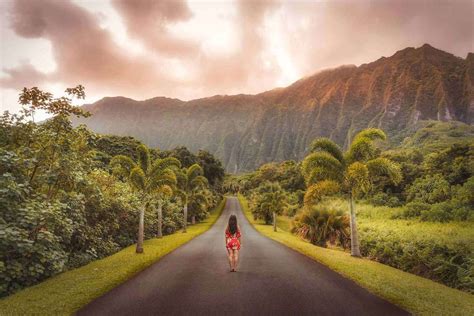 Hoomaluhia Botanical Garden Oahu The Certified 2019 Guide In 2021