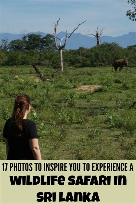 Check spelling or type a new query. Wildlife Safari In Sri Lanka - Where To Go And Photos To ...