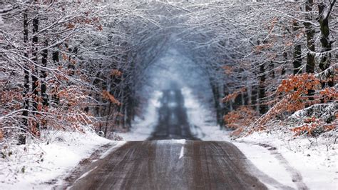 1920x1080 Forest Road In Winter 1080p Laptop Full Hd