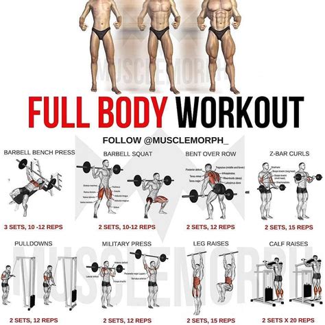 🚨 Full Body Workout With Images Full Body Workout Routine Fitness