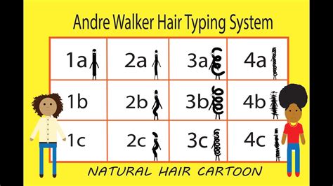 What Is Hair Typing All About Hair Typing With Andre Walkers Hair