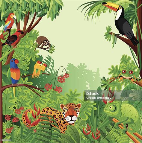 Tropical Rainforest Stock Illustration Download Image Now Istock
