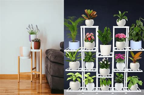Indoor Plant Stands For Multiple Plants India The 10 Best Options For You