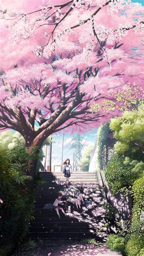 Anime Cherry Blossom Tree Hd Wallpaper