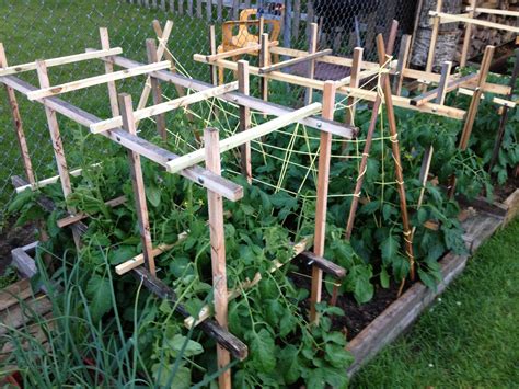 21 Tomato Cage Trellis And Garden Ideas Worth To Check Sharonsable