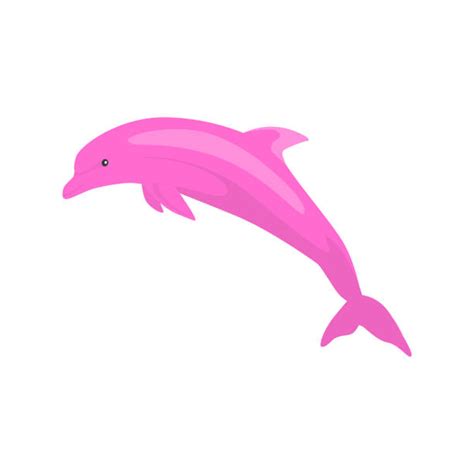 Pink Dolphin Illustrations Royalty Free Vector Graphics And Clip Art