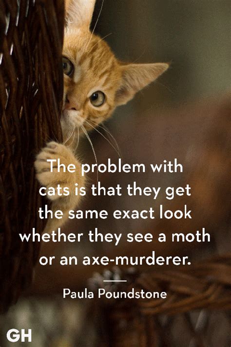 Nov 30, 2018 · 25 adorable cat quotes that perfectly describe your kitten. 25 Best Cat Quotes That Perfectly Describe Your Kitten - Funny and Cute Cat Quotes