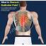 Mid To Upper Back Pain Causes