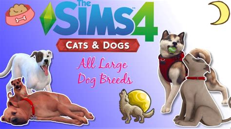 The Sims 4 Cats And Dog All Large Dog Breeds Youtube