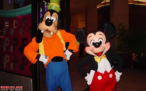 10 Best Character Meet And Greets At Disney World Disney Dining