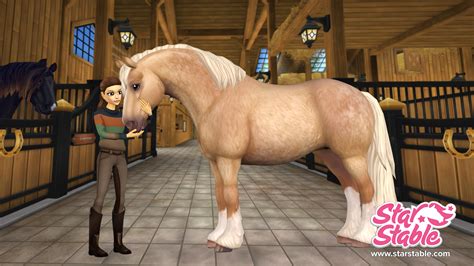 Sso works based upon a trust relationship set up between an application in sso, this identity data takes the form of tokens which contain identifying bits of information about the. Häst (SSO) | Starstableonline Wiki | Fandom