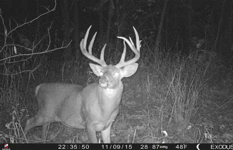 Low Impact Trail Cam Strategies Whitetail Habitat Solutions