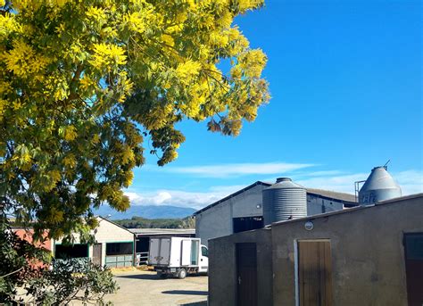 Glulam houses building > glulam wooden house and cottage construction. La primavera treu el nas! - Mogent