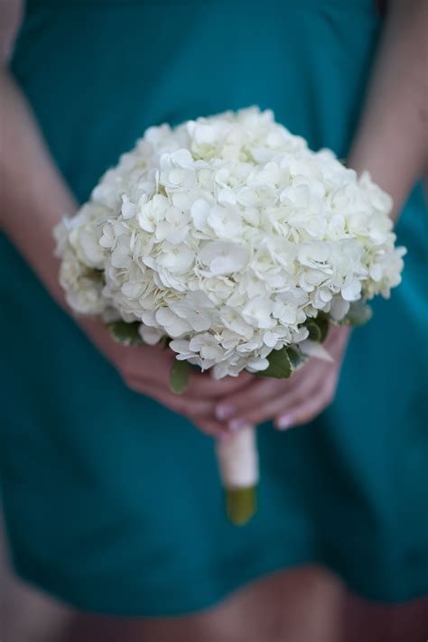 Simple White Hydrangea Bouquet For The Bridesmaids St Louis Wedding