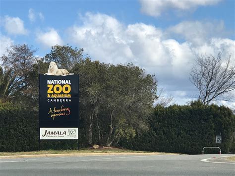 National Zoo And Aquarium Canberra Australia Attractions Lonely Planet